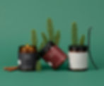 Fontana Candle Co. non toxic home fragrance