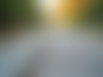 Installing Concrete Walkways: Creating a Durable Concrete Walkway