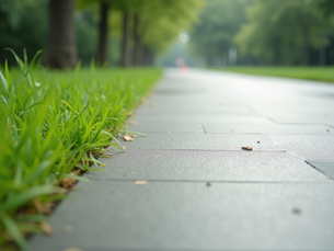 The Benefits of Concrete Walkways: Enhancing Your Outdoor Space