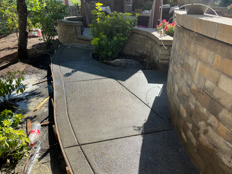 Exposed Aggregate Walkway 