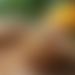 Top Natural Skincare Solutions for Every Skin Type