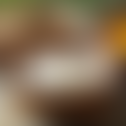 Top Natural Skincare Solutions for Radiant Skin