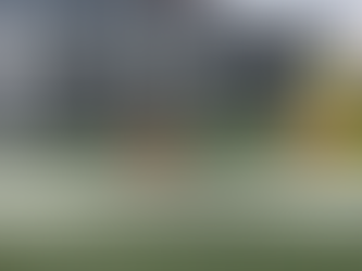 ANALISANDO GOLEIROS - VALDIR BARDI