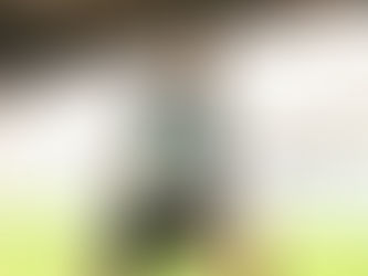 Newcastle United 2-2 Southampton