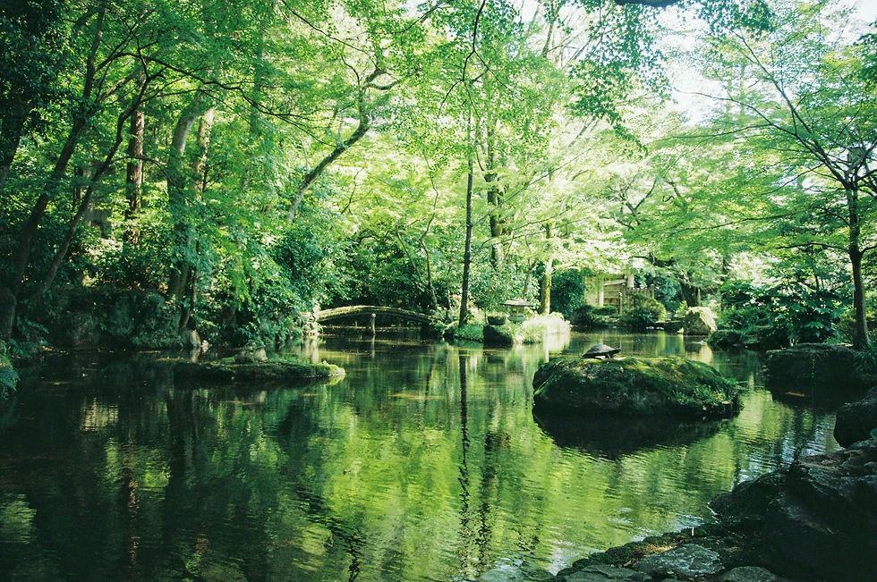 Engage & Interact: Join Our Daily Analysis Conversation