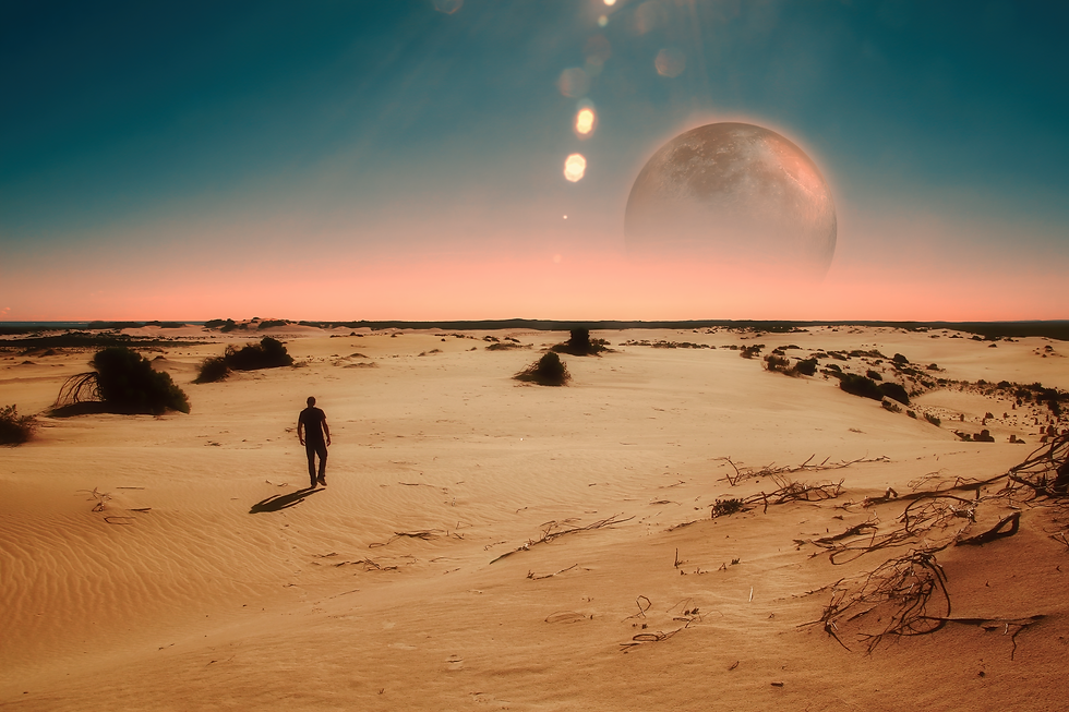 Space wanderer
