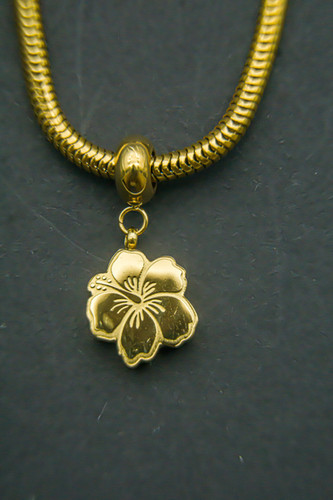 Hibiscus Charm