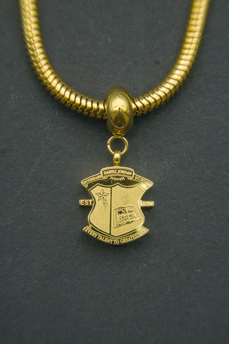 Daryll Jordan Secondary School Charm