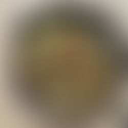 STUR Gusseisenpfanne 28 cm mit gebratenem Gemüse aus Blumenkohl, Karotten und Pak Choi im Alltagstest