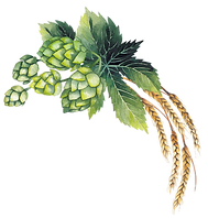 hopfen_2.png