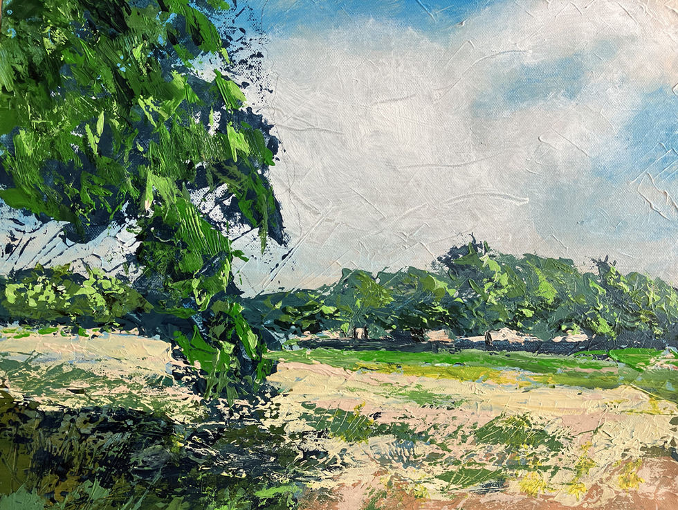 Cowdray Park