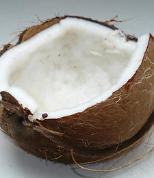 Fresh coconut cut open