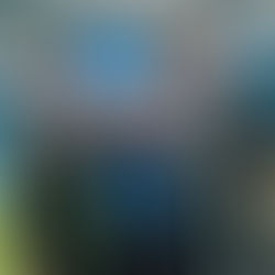 GladiatHers® Spotlight: Senior Manager, Special Events at Miami Dolphins and Hard Rock Stadium