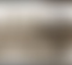 THE OTHER INTEGRATIONISTS