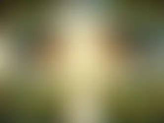 Du får ikke det du vil ha, du får den du er