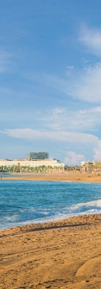 BARCELONA COSTA 2.jpeg
