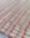 358588617_615568807335688_2835106486977178065_n.jpg