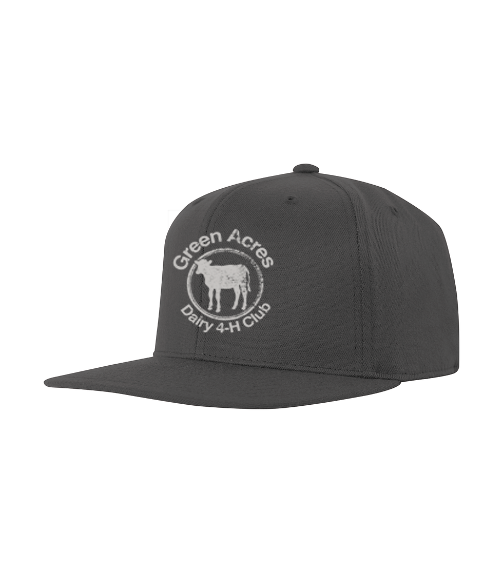Thumbnail: Flat Brim Hat Snapback