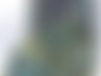 勤友光電-面板專用枚葉式 wet etch設備