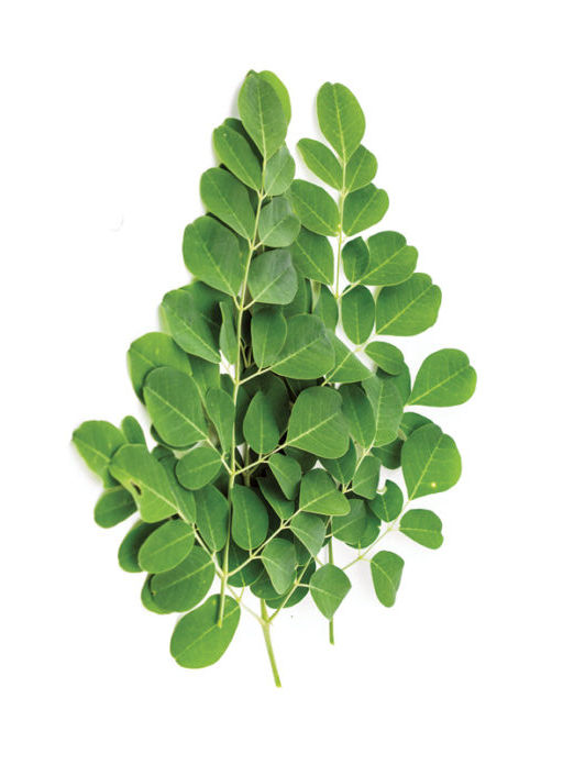SO17-Nutrition-Moringa-696x522_edited.jpg