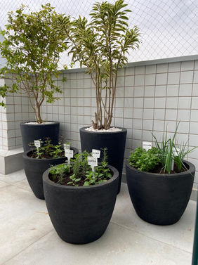 WhatsApp Image 2022-05-14 at 21.27.53 (12).jpeg