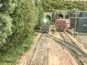 This week’s photo….