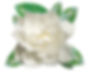 Logo Without the frame 350x300.jpg