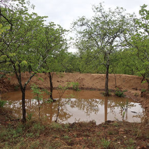 Flooding wrecks water harvesting systems in Chimanimani
