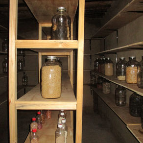 Smallholder farmer constructs household seed heritage archive
