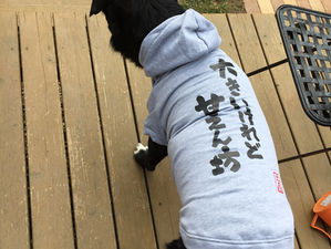 服が届きました