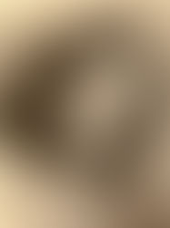 A Silence of Desire by Kamala Markandaya