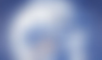 Spider Dreams: An interview with diarist Seaji Covel