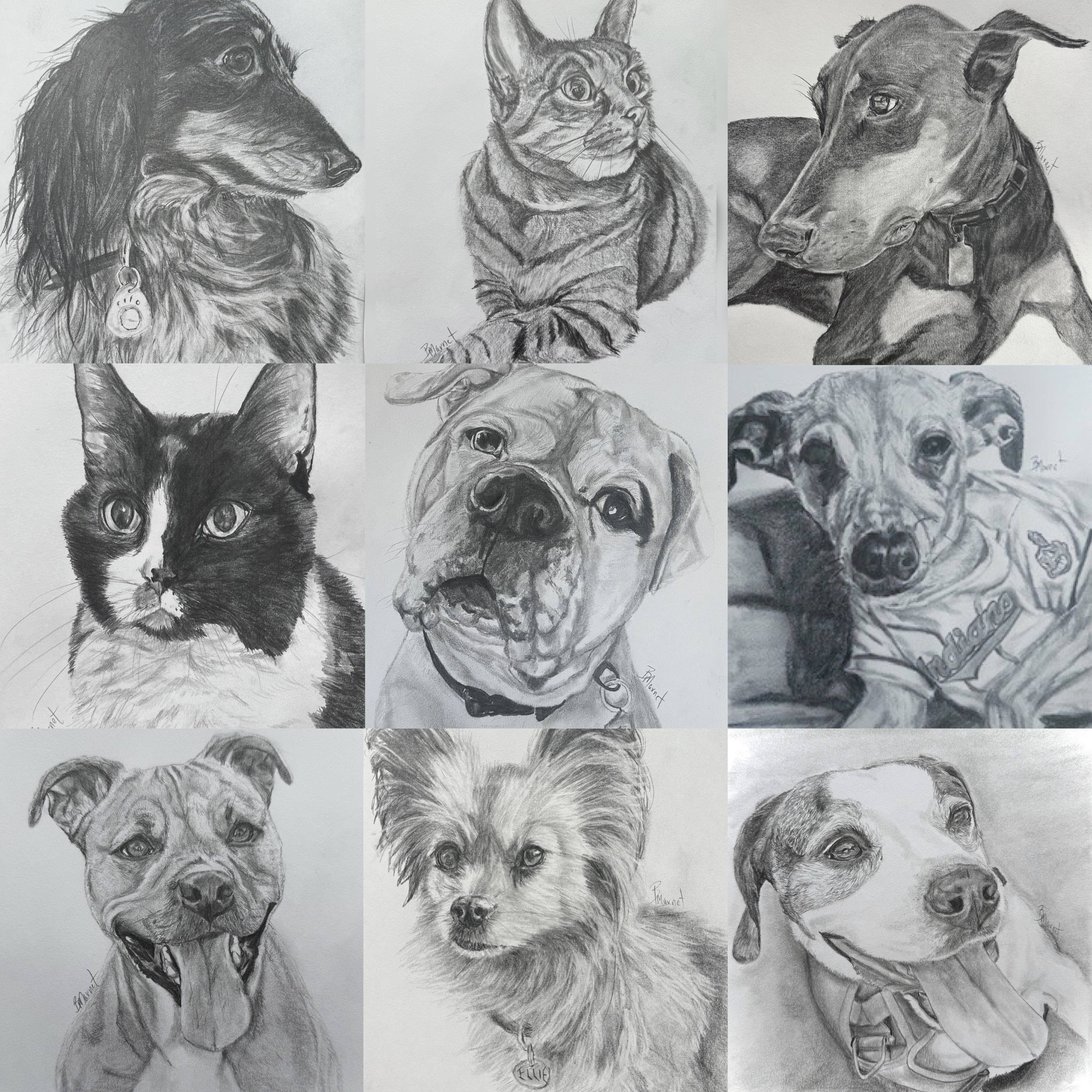 Custom Pet Portrait 