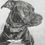 Thumbnail: Custom Pet Portrait 