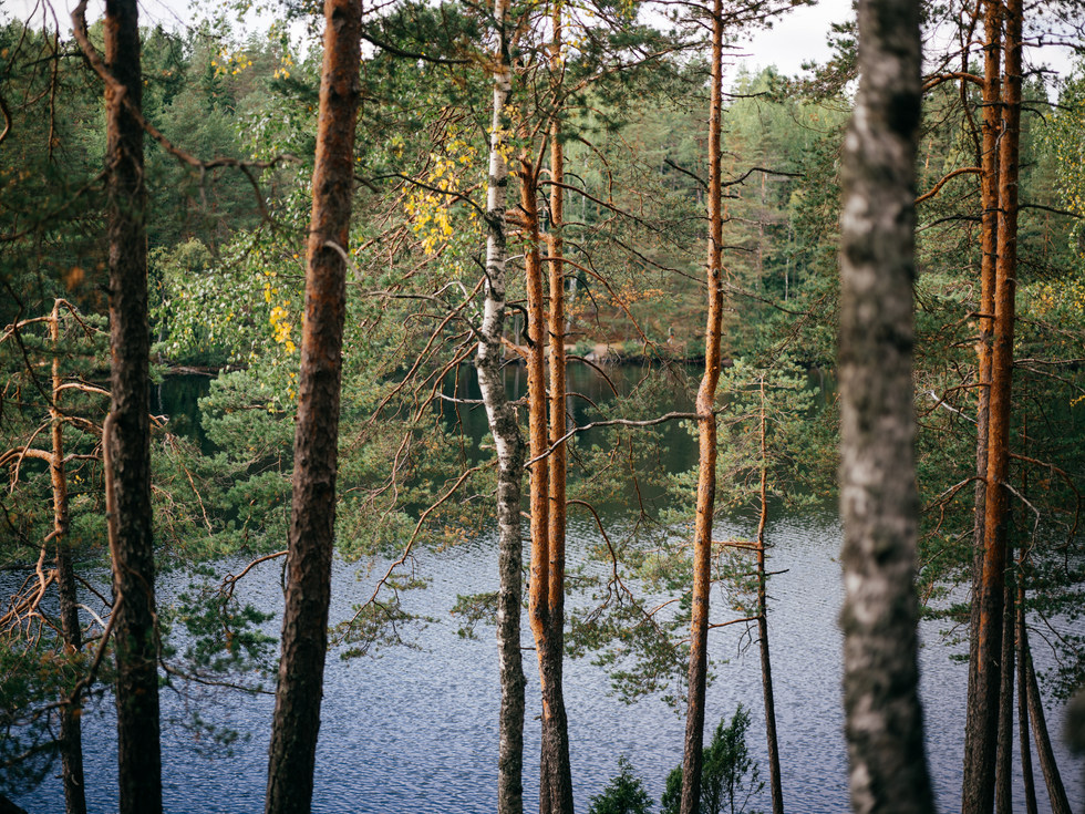 Nature