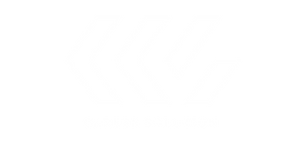 carrier solution_logo_white.png