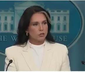 Tulsi.png