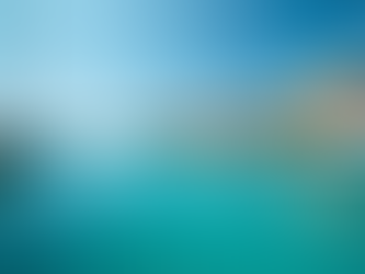 Investing Ideas in Bermuda