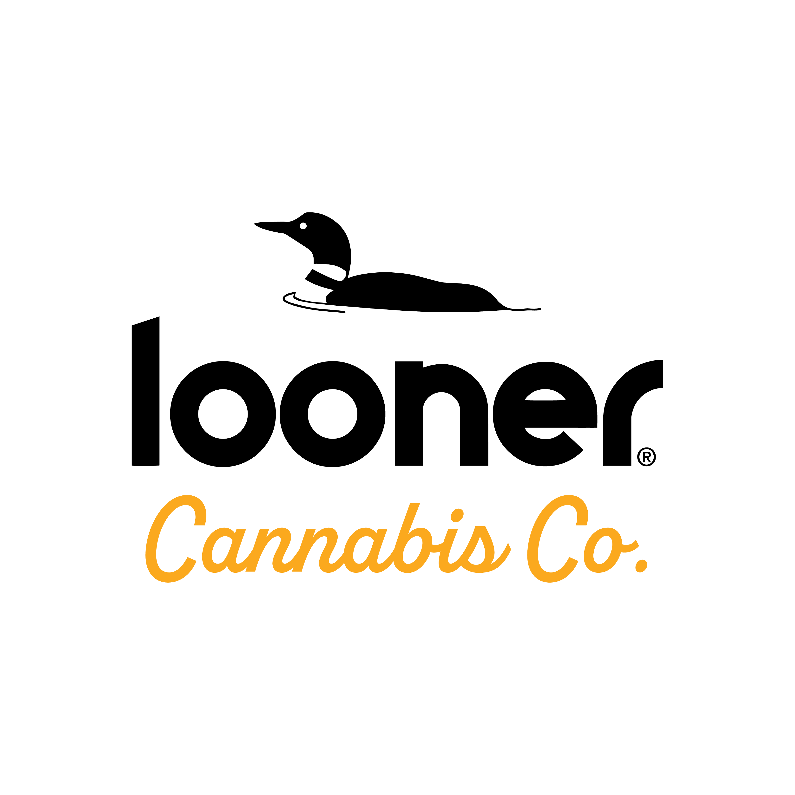 Product Logo