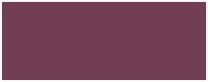 project rectangle small.png