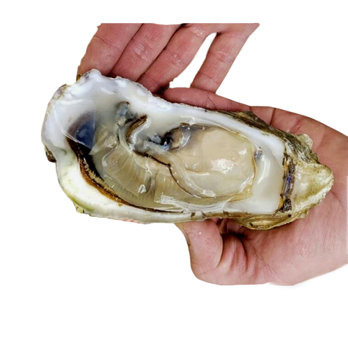 BBQ Oysters Vancouver Shoalwater Seafood