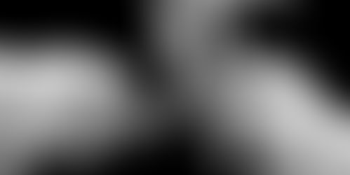 Geïmporteerde Conflicten in de Publieke Sector