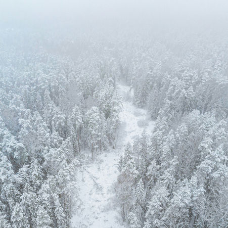 Luchtbeeld van een bospad in een besneeuwd landschap