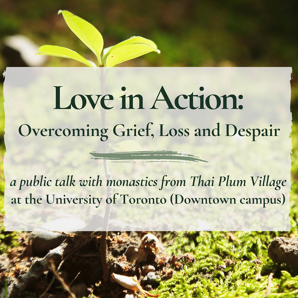 Love in Action: Overcoming Grief, Loss and Despair