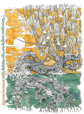 Histoires salées sous les paletuviers
Aquarelle et encre
collection privée
disponible en Tirage Fine Art