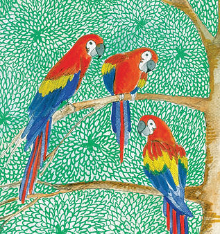 25. Papagayos lucen la bandera.jpg