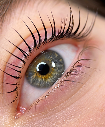 lashlift.TIF