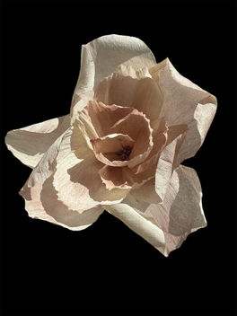 Les fleurs en papier