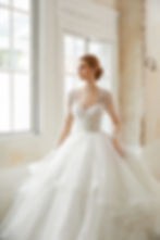 front close up view of Hilary sparkling ruffle ballgown