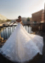 back view of Elonso glitter wedding dress